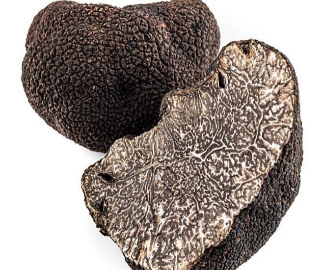 Trufa negra