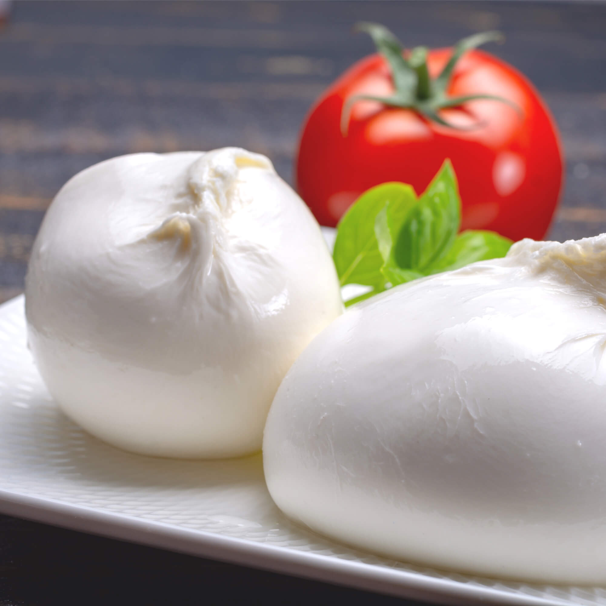 queso-burrata